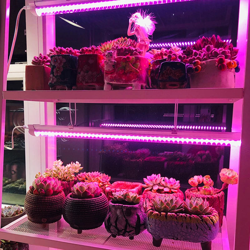 10-Pack COB LED Grow Light Full Spectrum 10W–50W No Driver LED Grow Light HIP