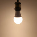 10-Pack E27 LED Bulbs 3W–18W 220V | Warm & Cool White LED Light Bulbs HIP Warm White 6W