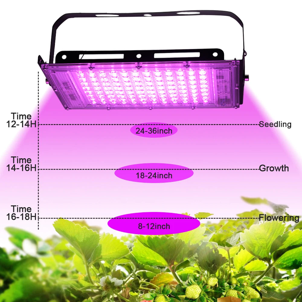 YNL 50W 100W 150W Full Spectrum LED Grow Light | Phyto Lamp LED Grow Light HIP