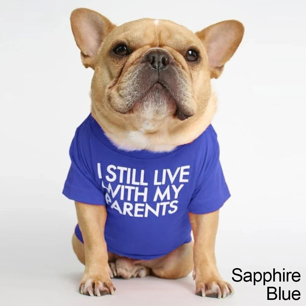 Summer Spring Dog Clothes Quality Breathable Pet Clothing Soft Letters Printed French Bulldog Clothes for Small Dogs T-shirt HIP Sapphire Blue XXL