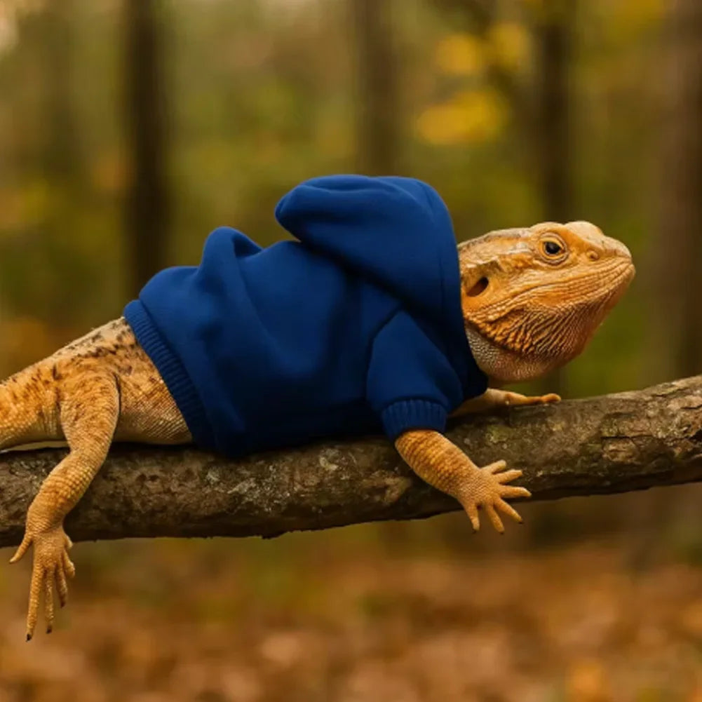 Warm Pet Sweater Hoodie Coat Apparel For Bearded Dragons Lizards Reptiles Chameleons Geckos Hamster Small Animals Photo Prop HIP