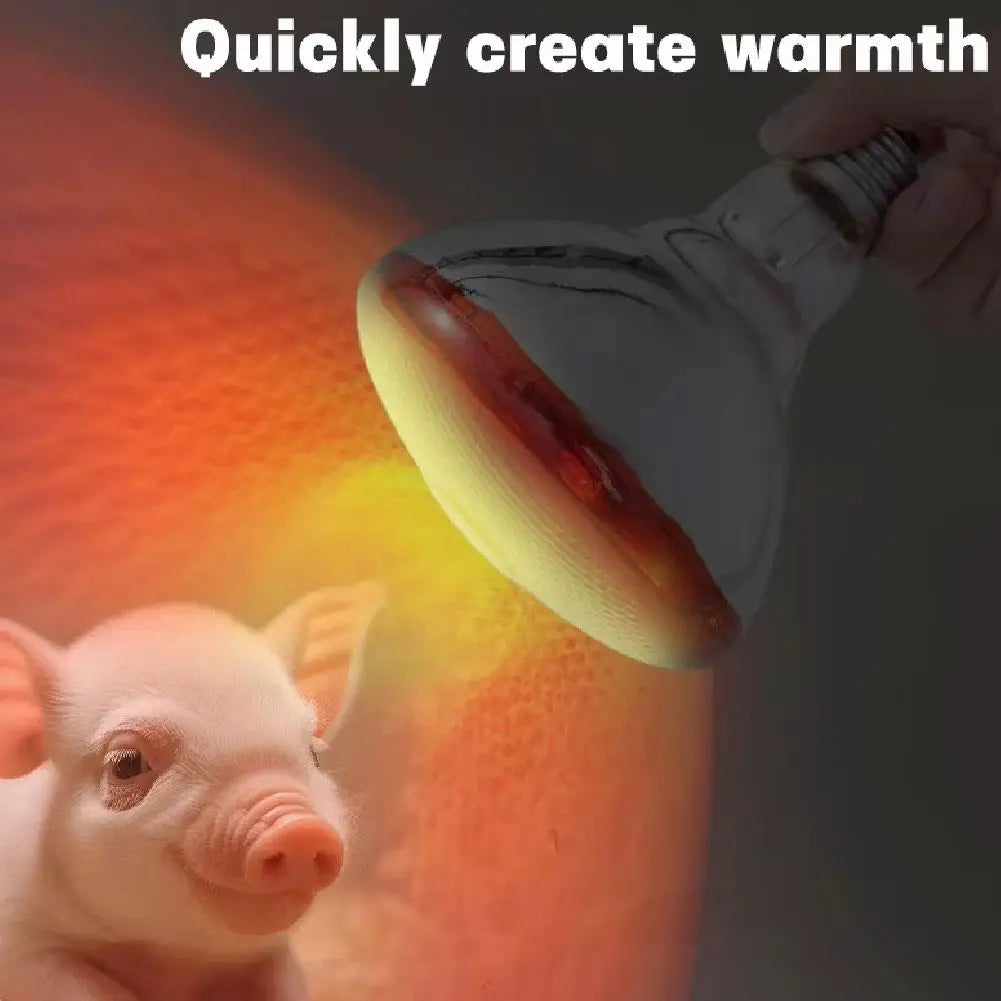 Red Heat Bulb Lamp Heat Preservation Lamp Day Night Amphibian Snake Lamp Heat Reptile Bulb UV Light For Chicks Piglets HIP