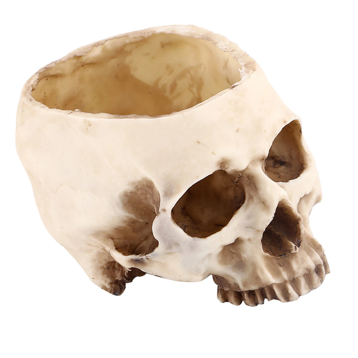 Resin Skull Head Design Flower Pot Planter Container Decoration Skull Container Skull Pot Skull Flowerpot Skull Plant Pot HIP