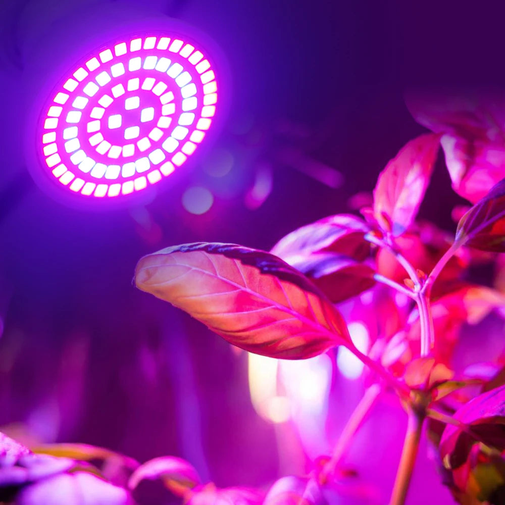 YNL Full Spectrum E27 LED Grow Bulb – 60/80 LEDs Indoor Plants LED Grow Light Bulb HIP