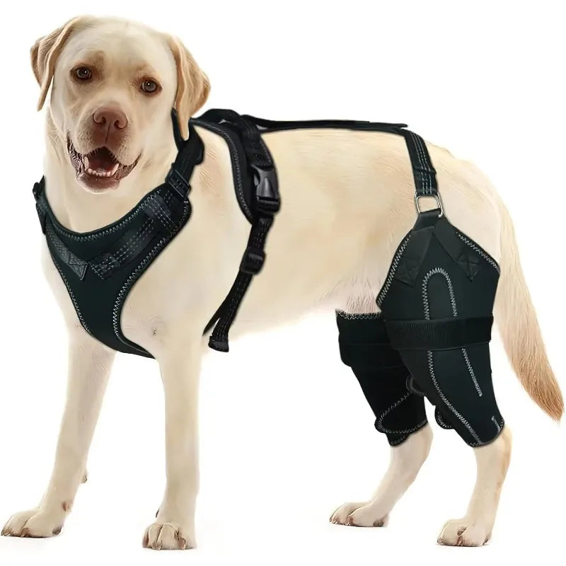 Dog Knee Brace for Hind Leg – Hinged Joint Support Wrap Dog Knee Brace HIP