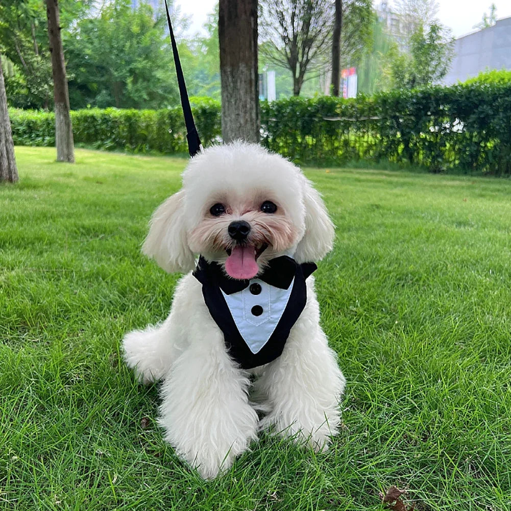 Dog Tuxedo Wedding Outfit Formal Pet Suit with Bow Adjustable Strap Small Medium Sized Dog Party Birthday Photography Costume HIP
