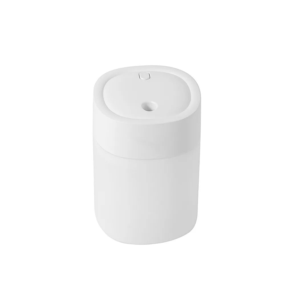 USB Rechargeable Facial Mist Sprayer – Nano Face Steamer Facial Mist Sprayer HIP Upgraded White