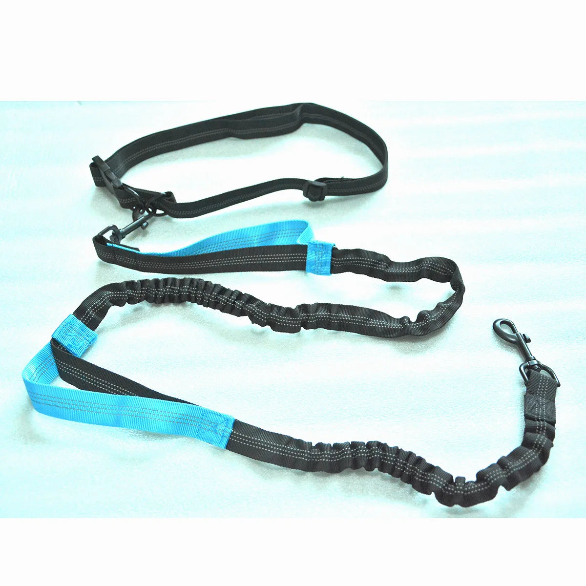 Double Elastic Reflective Running Leash Portable Retractable Dog Leash Dog Chain Leash Pet Supplies Wholesale HIP Blue China Mainland