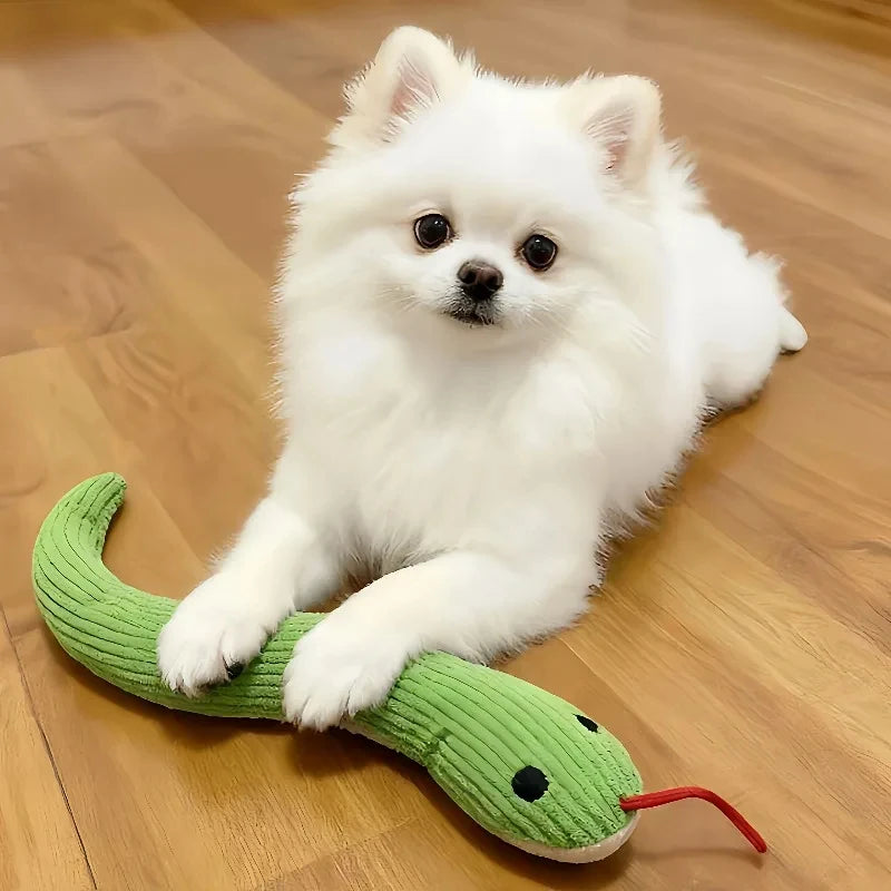 Catnip Snake Toy for Cats – Interactive Bite-Resistant Play Cat Catnip Toy HIP
