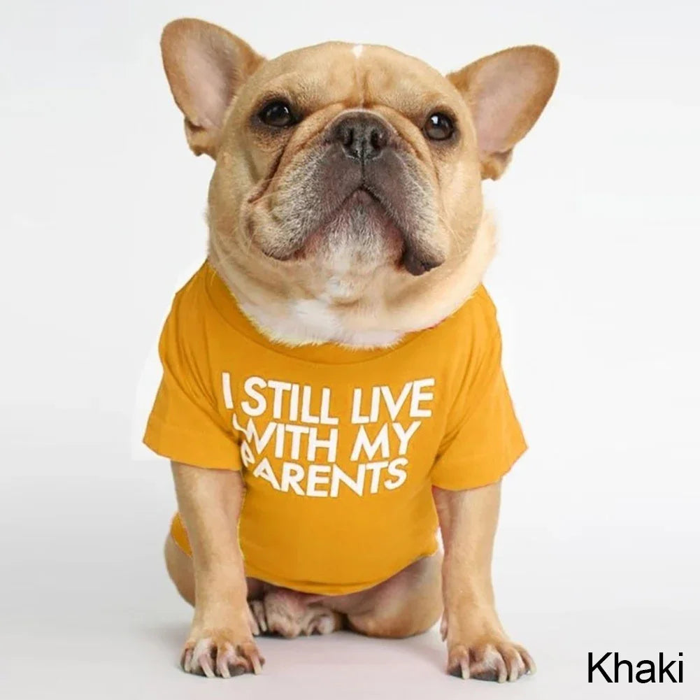 Summer Spring Dog Clothes Quality Breathable Pet Clothing Soft Letters Printed French Bulldog Clothes for Small Dogs T-shirt HIP YELLOW XXL