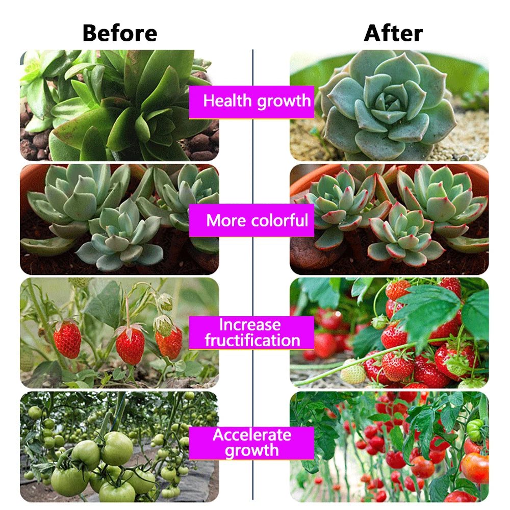 50W Full Spectrum LED Grow Light – Greenhouse & Hydroponics LED Grow Light HIP