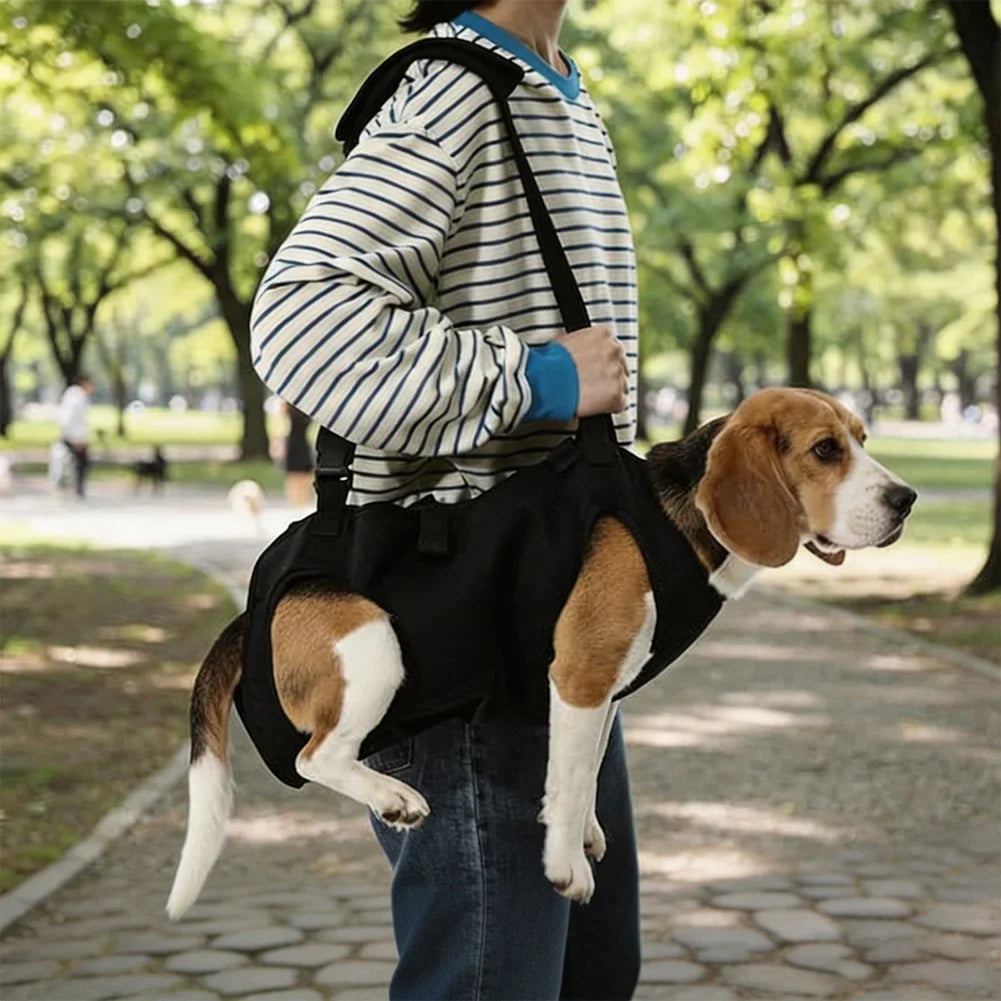 S-2XL Adjustable Padded Handle Strap Dog Lift Strap Elderly Disabled Dog Rehabilitation Walker Support Strap Pet Supplies HIP