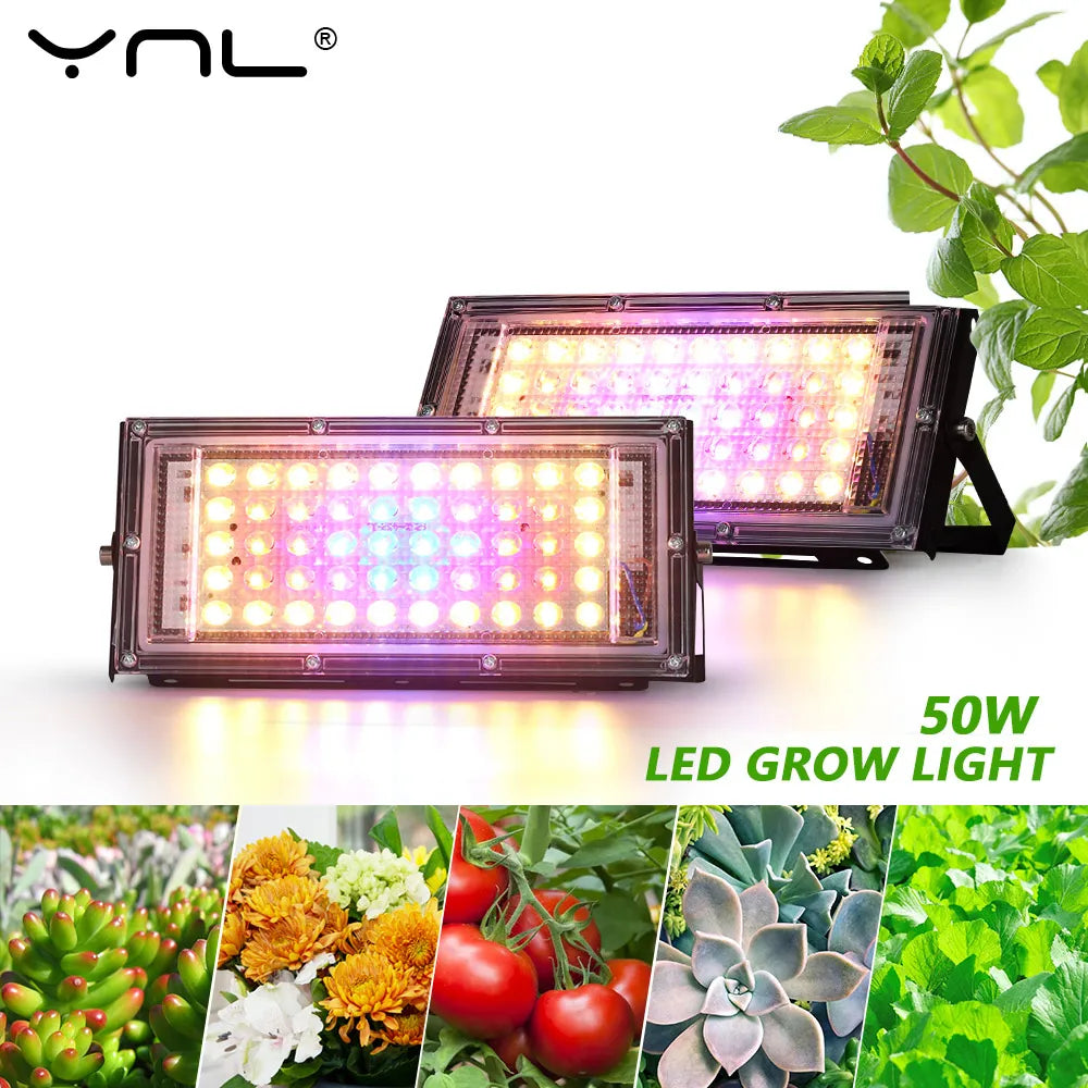50W Full Spectrum LED Grow Light – Greenhouse & Hydroponics LED Grow Light HIP