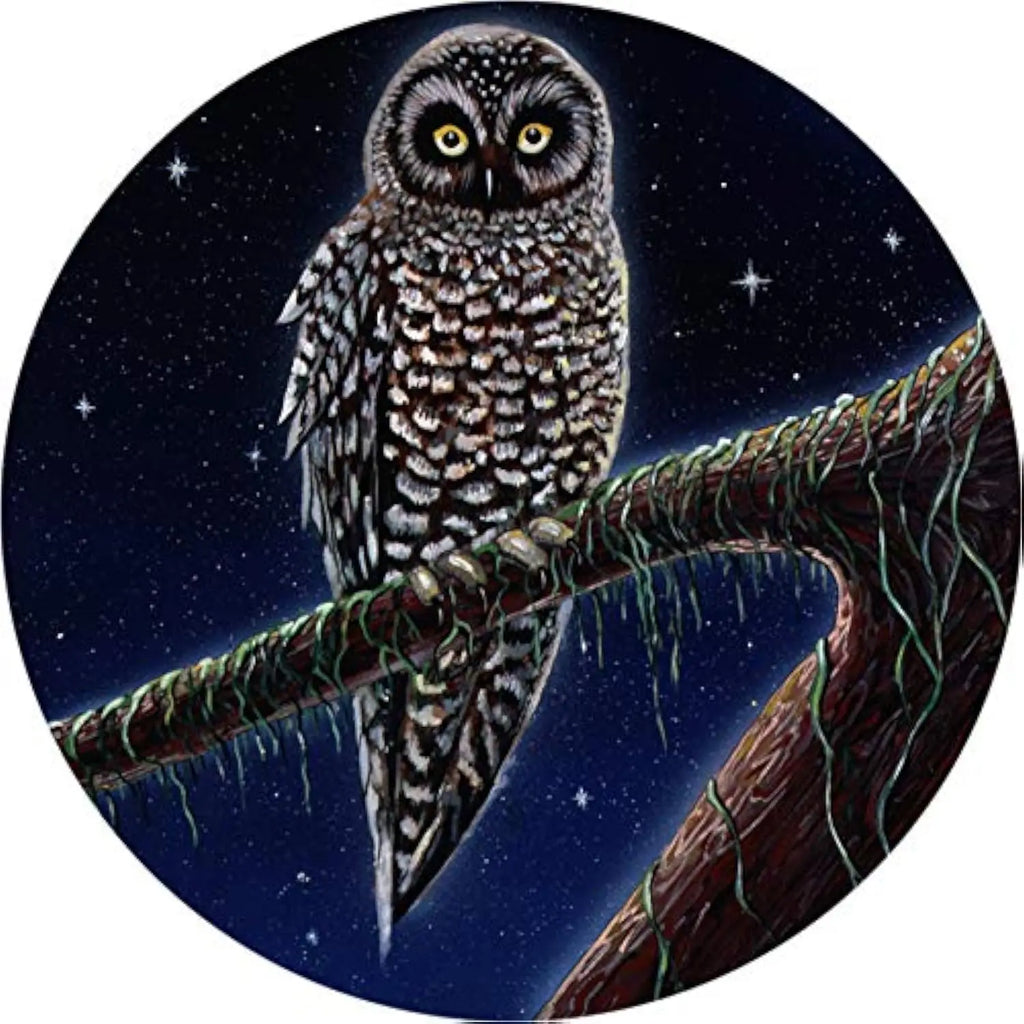 Owl Night Watch Polyester Spare Tire Cover – Custom Fit Spare Tire Cover HIP Acquiesce 16 in