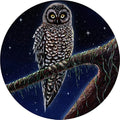 Owl Night Watch Polyester Spare Tire Cover – Custom Fit Spare Tire Cover HIP Acquiesce 16 in