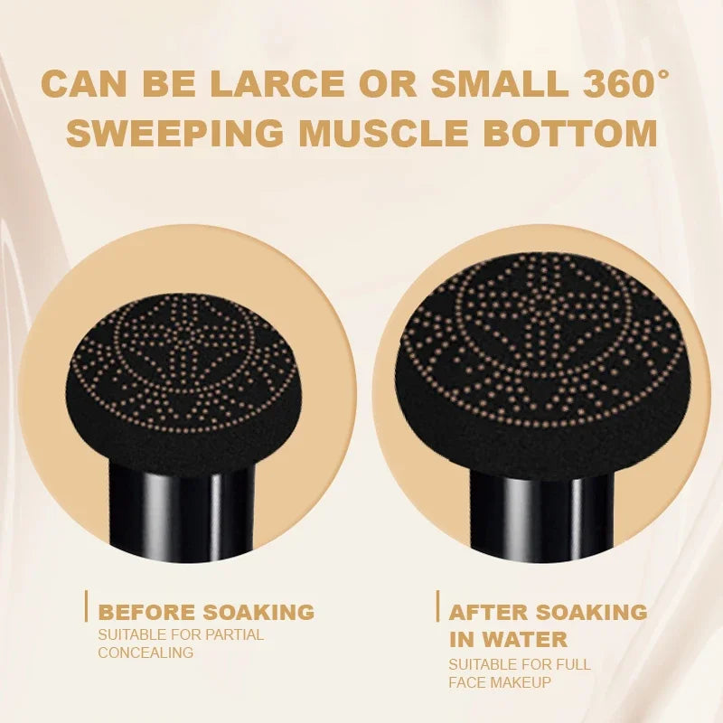 Ocheal BB Cream Air Cushion Foundation & Concealer | 20g BB Cream Foundation HIP