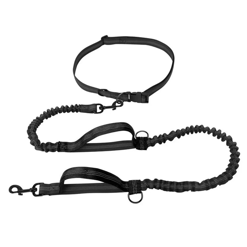Double Elastic Reflective Running Leash Portable Retractable Dog Leash Dog Chain Leash Pet Supplies Wholesale HIP black China Mainland