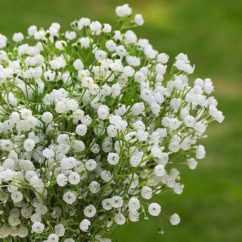 15" White Artificial Baby's Breath Gypsophila Flowers – Decor Artificial Flowers HIP