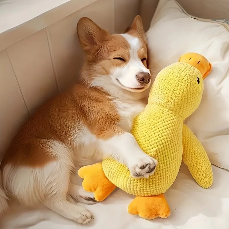 Durable Plush Durable Plush Squeaky Dog Toy | For All Dog Breeds | Plush | Squeaky, Chew Resistant, Interactive | Pet Toy HIP