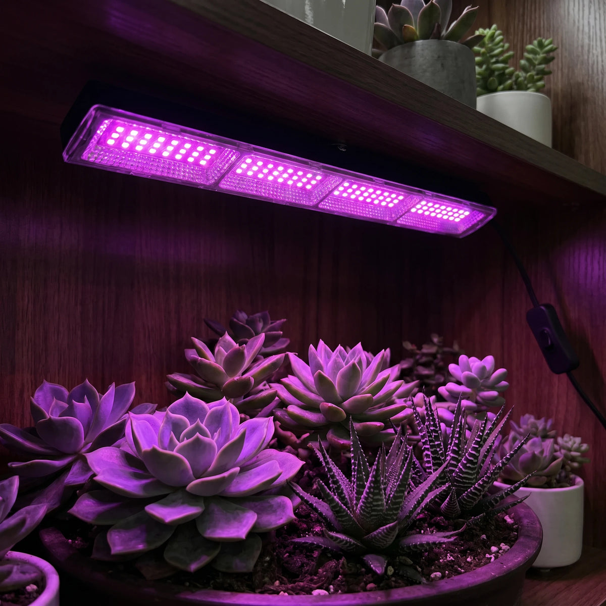 YNL Full Spectrum LED Grow Light – Hydroponic & Greenhouse LED Grow Light HIP