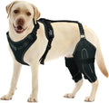 Dog Knee Brace for Hind Leg – Hinged Joint Support Wrap Dog Knee Brace HIP black XL