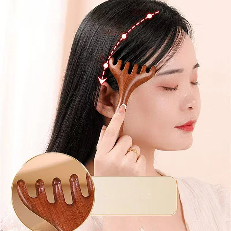 Six-Claw Scalp Massager Gua Sha Comb – Anti-Static Spa Tool Scalp Massager Comb HIP