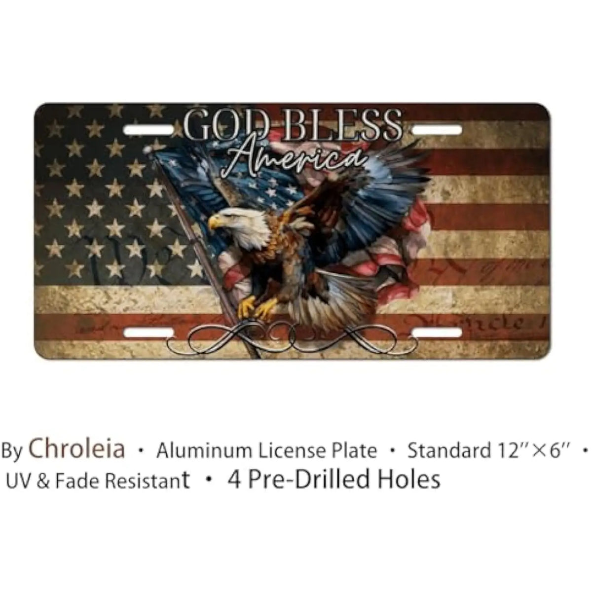 Patriotic Bald Eagle Aluminum License Plate – God Bless America Decorative License Plate HIP