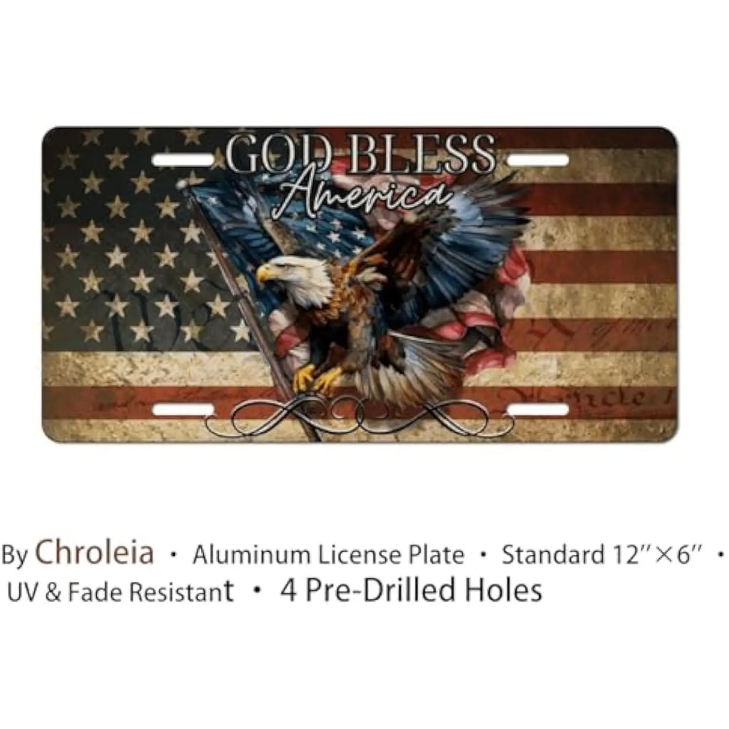 Patriotic Bald Eagle Aluminum License Plate – God Bless America Decorative License Plate HIP