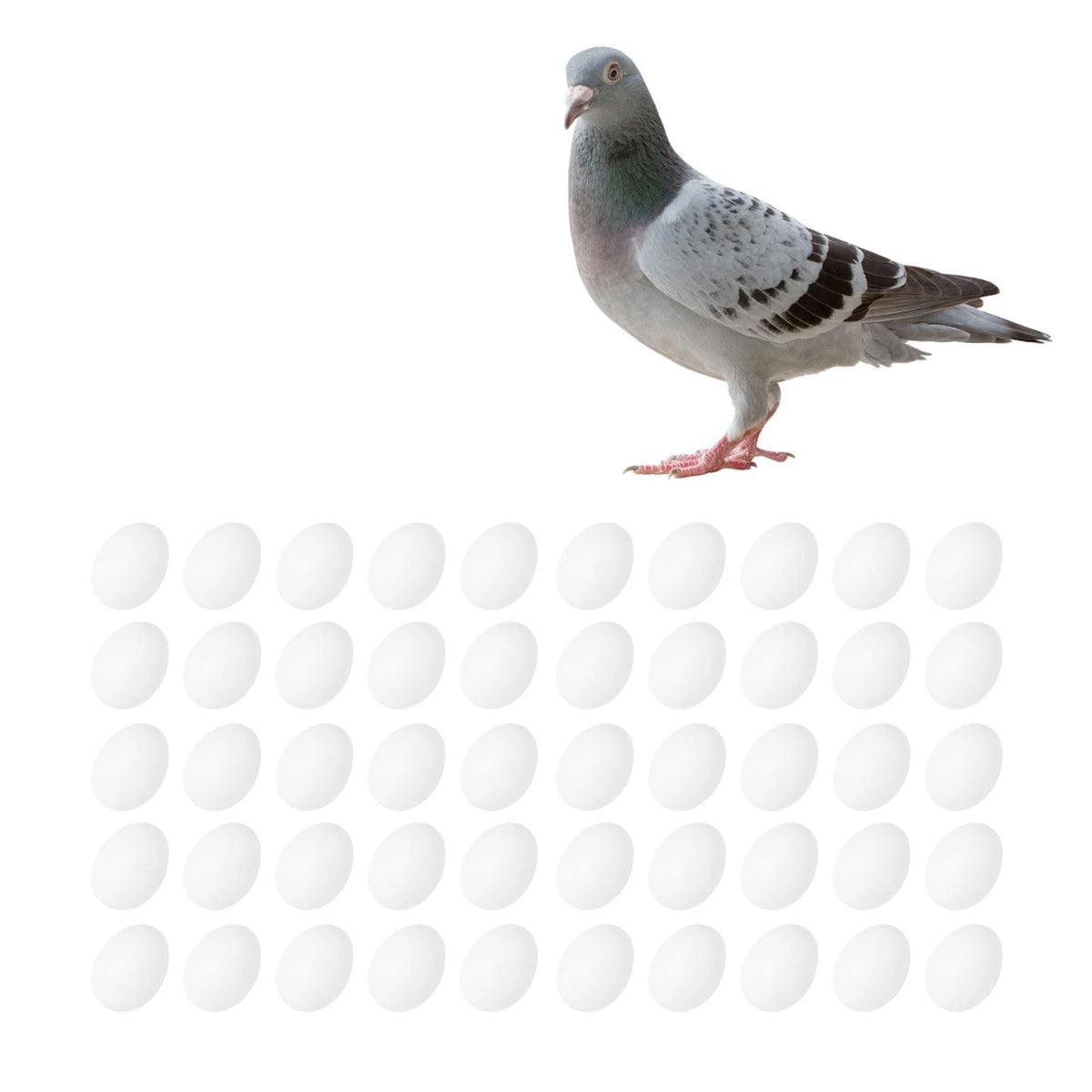 Plastic Fake Pigeon Egg Fake Egg Simulation Hatching Breeding Supplies for Birds Fake Eggs Simulation Pigeon Eggs HIP