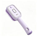 Electric Mist Hair Brush – Steam Detangling & Scalp Care Steam Hair Brush HIP Style A