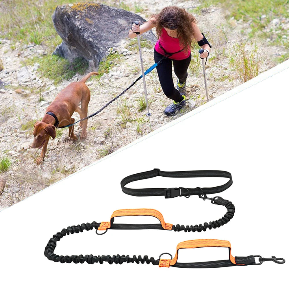Double Elastic Reflective Running Leash Portable Retractable Dog Leash Dog Chain Leash Pet Supplies Wholesale HIP