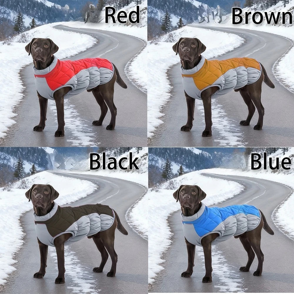 Winter Cotton Dog Jacket with D-Ring | Small to Large Dogs Dog Winter Jacket HIP