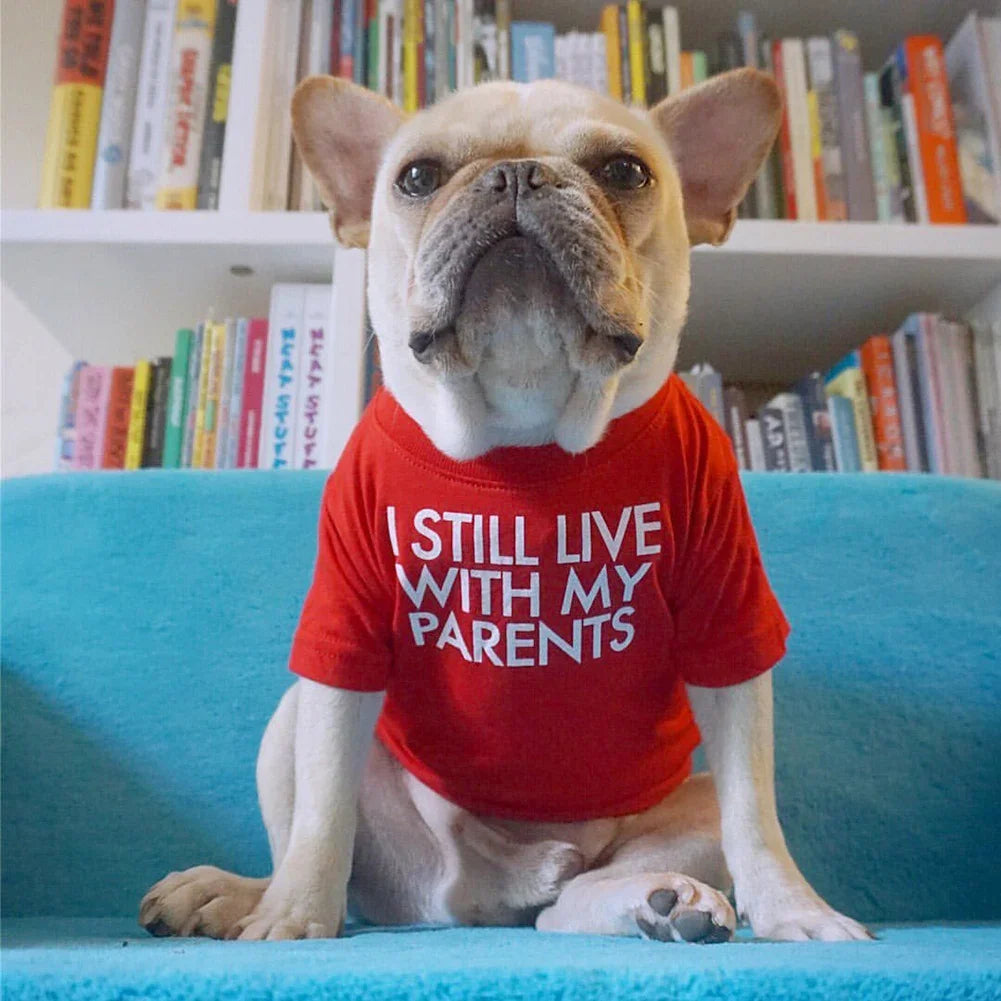 Summer Spring Dog Clothes Quality Breathable Pet Clothing Soft Letters Printed French Bulldog Clothes for Small Dogs T-shirt HIP