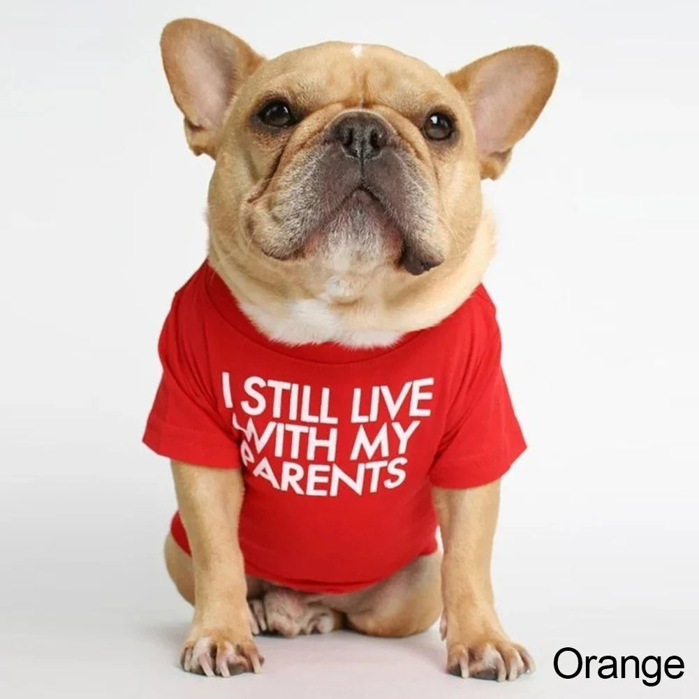 Summer Spring Dog Clothes Quality Breathable Pet Clothing Soft Letters Printed French Bulldog Clothes for Small Dogs T-shirt HIP Orange XXL