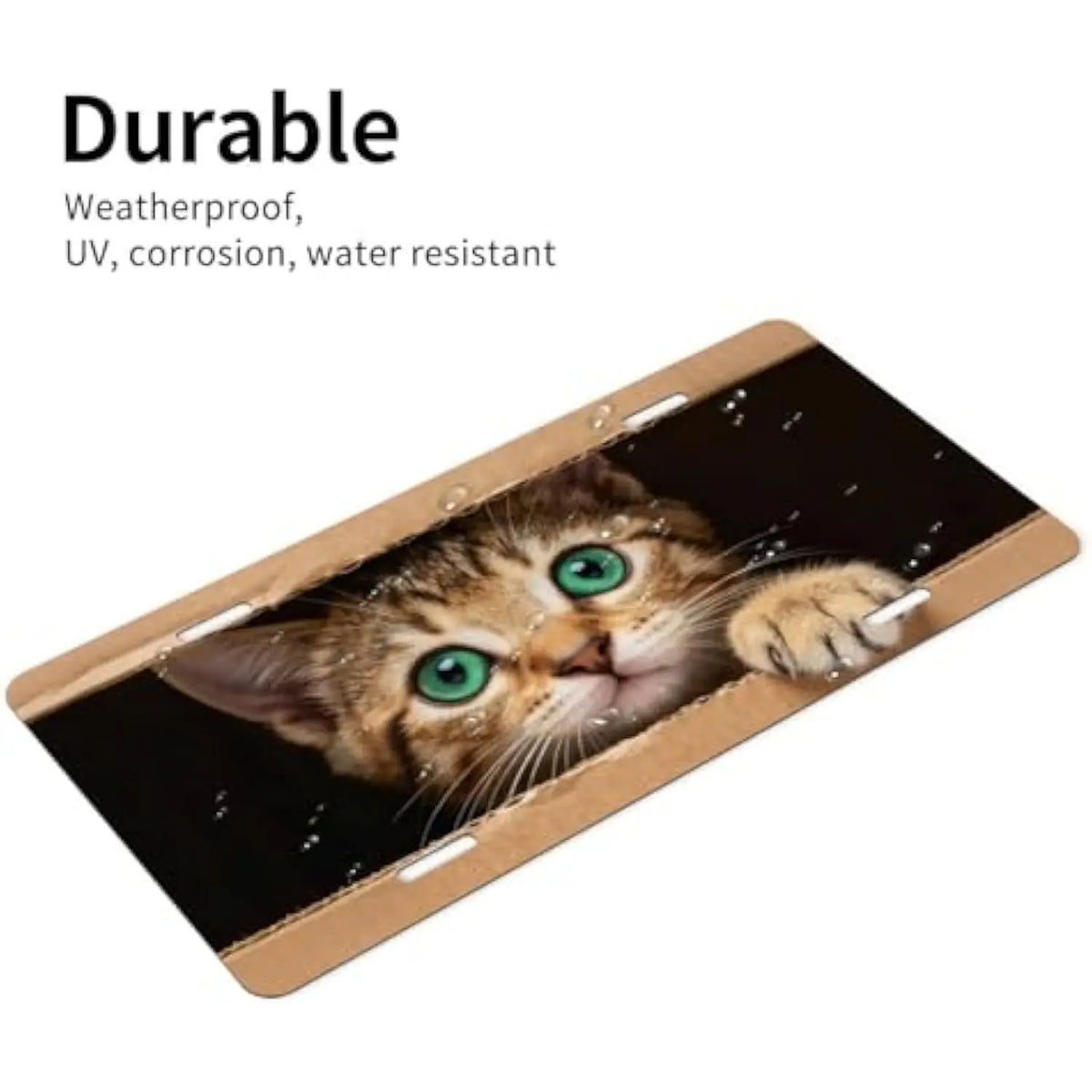 Green-Eyed Kitten License Plate Cover | Aluminum Car Decor License Plate Cover HIP