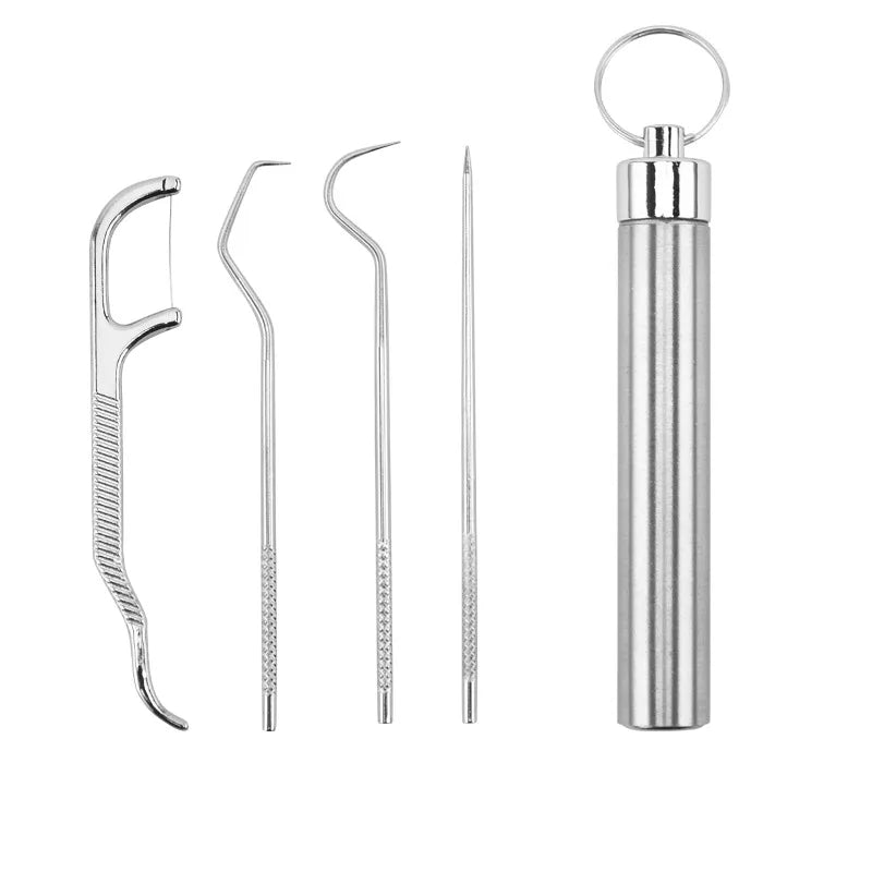 Stainless Steel Toothpick Set Tooth Flossing Reusable Toothpicks Portable Toothpick Floss Teeth Cleaner Oral Cleaning HIP 4pcs