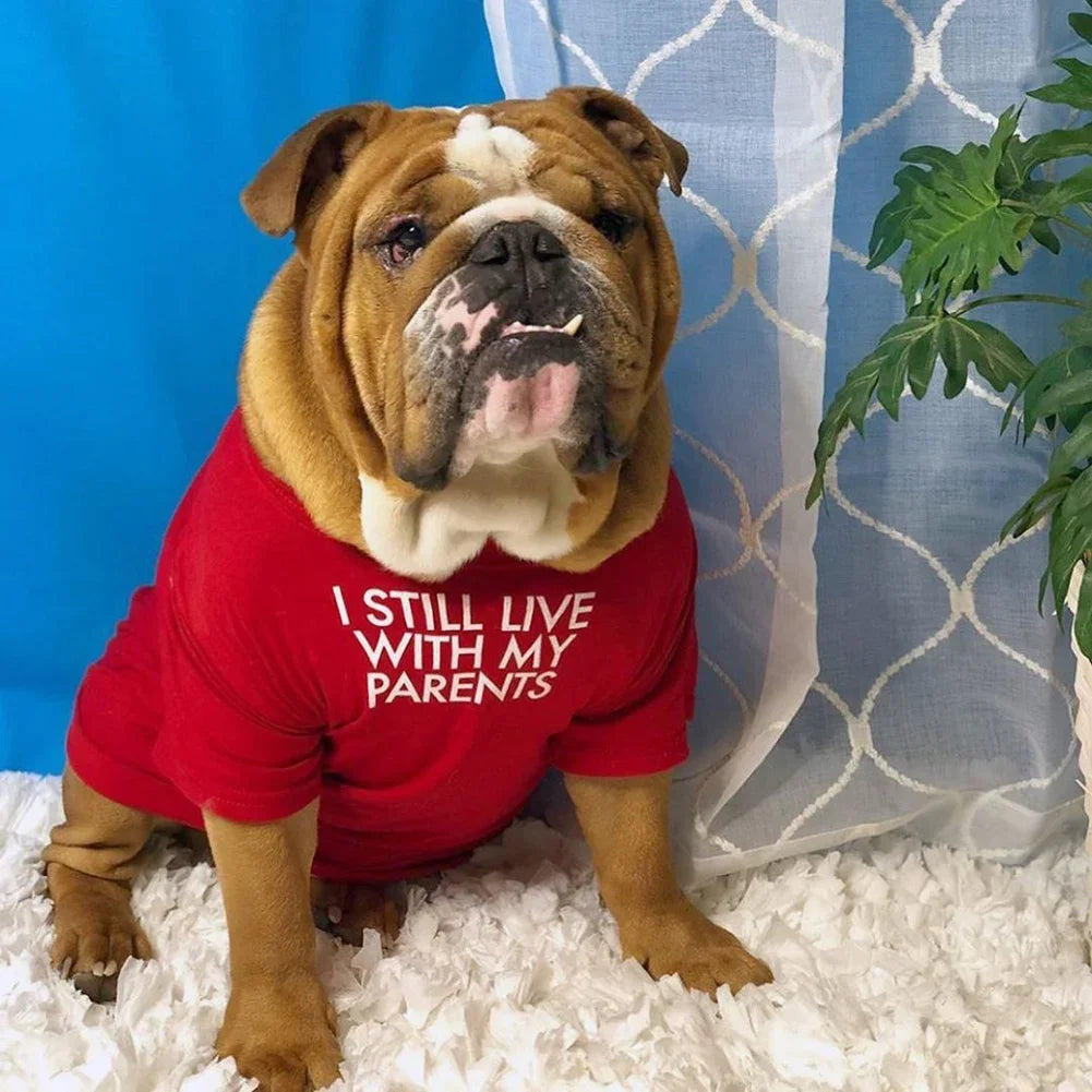 Summer Spring Dog Clothes Quality Breathable Pet Clothing Soft Letters Printed French Bulldog Clothes for Small Dogs T-shirt HIP