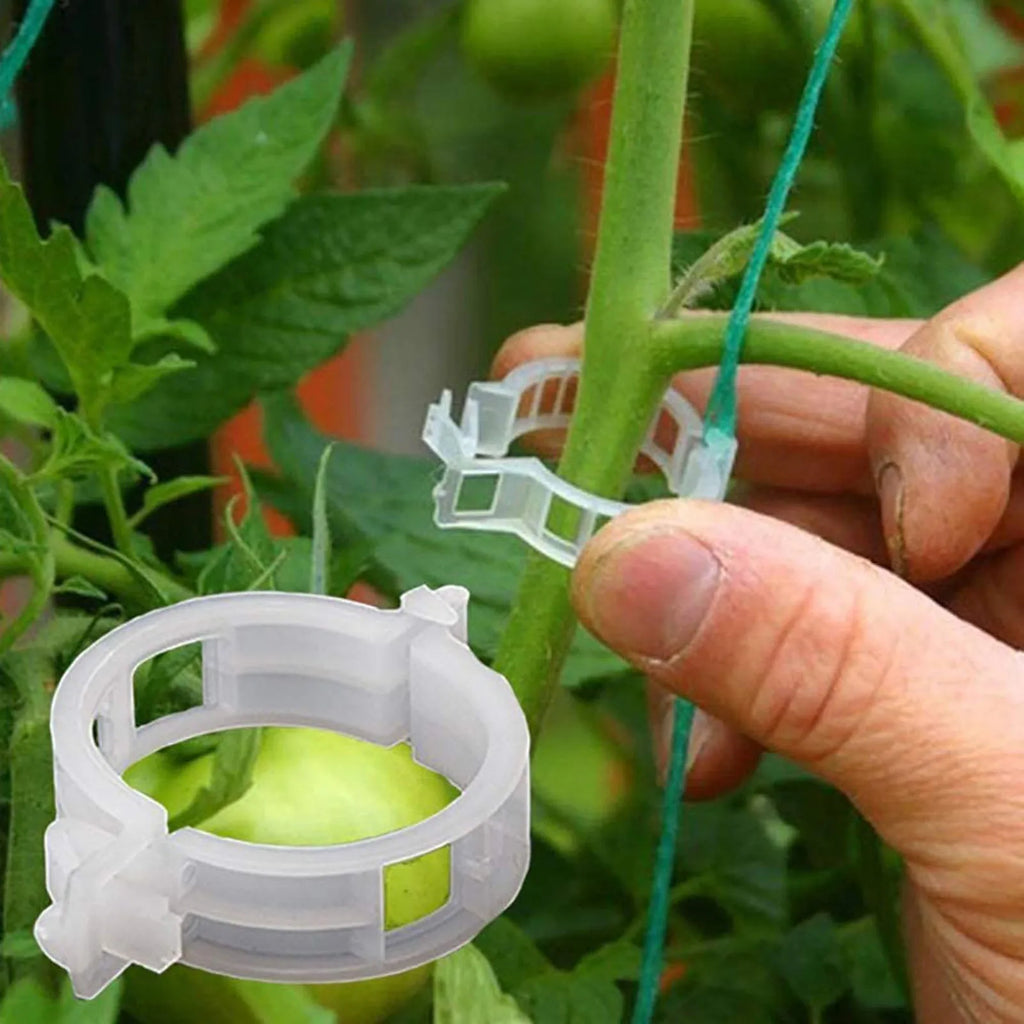 300PCS Plastic Tomato Clips Good Fixation Support Reusable Plant Support Clips for Various Vegetables Flowers Tomato Clips HIP