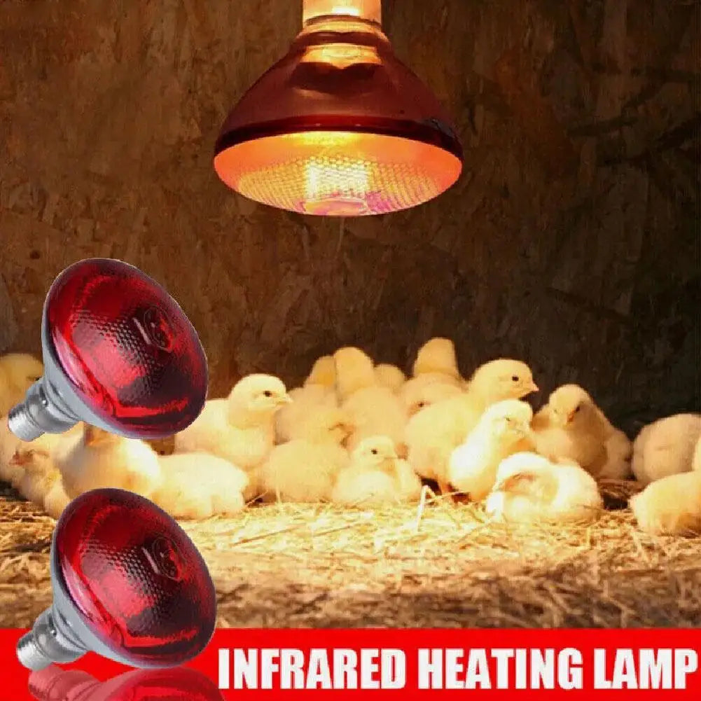 Red Heat Bulb Lamp Heat Preservation Lamp Day Night Amphibian Snake Lamp Heat Reptile Bulb UV Light For Chicks Piglets HIP