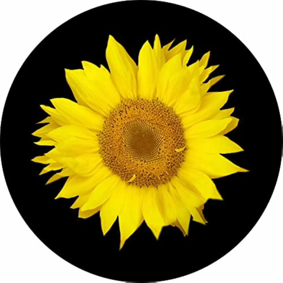 Sunflower Spare Tire Cover – Premium Polyester Wheel Protector Spare Tire Cover HIP Acquiesce 17 in
