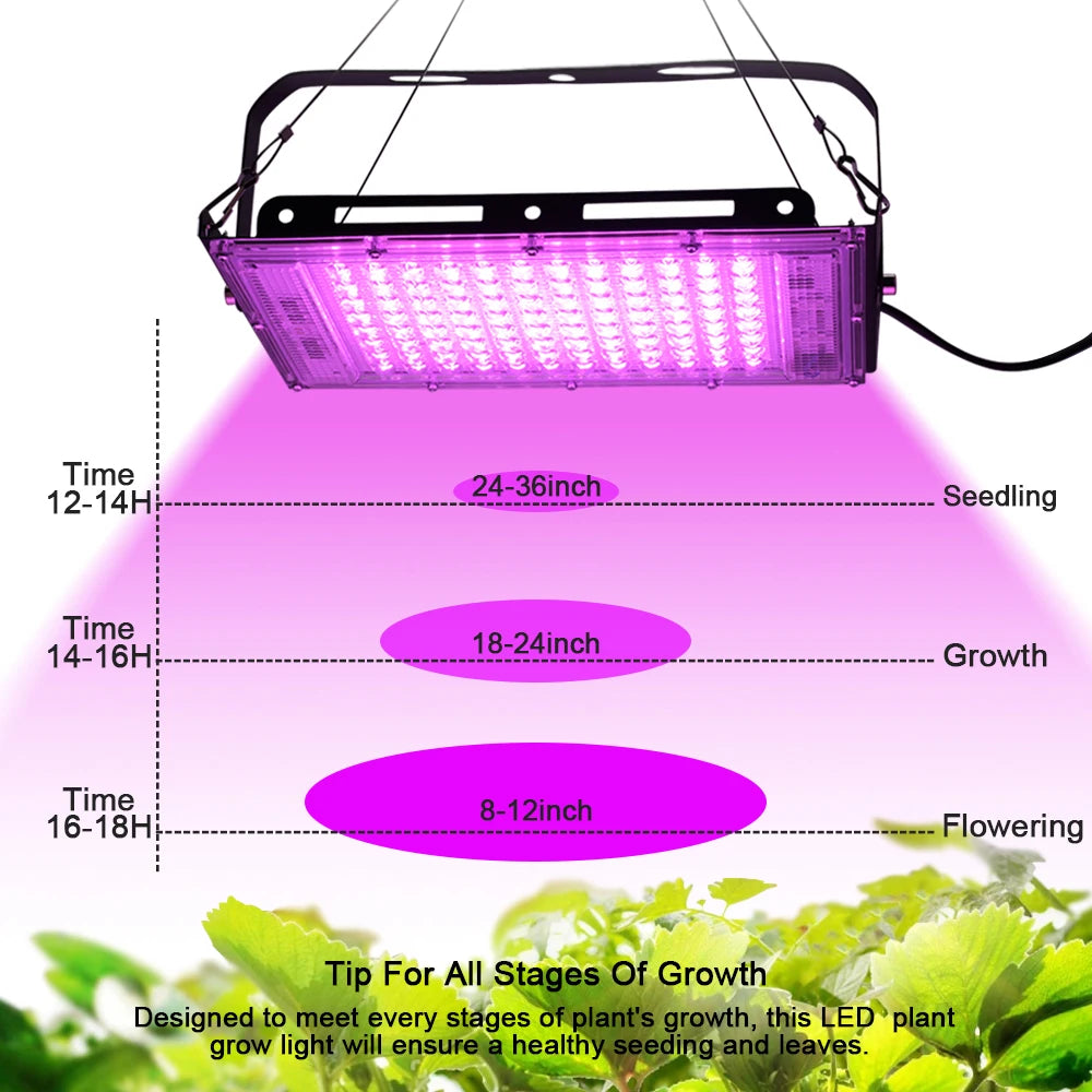 YNL Full Spectrum LED Grow Light 50W 100W 150W | Phyto Lamp LED Grow Light HIP
