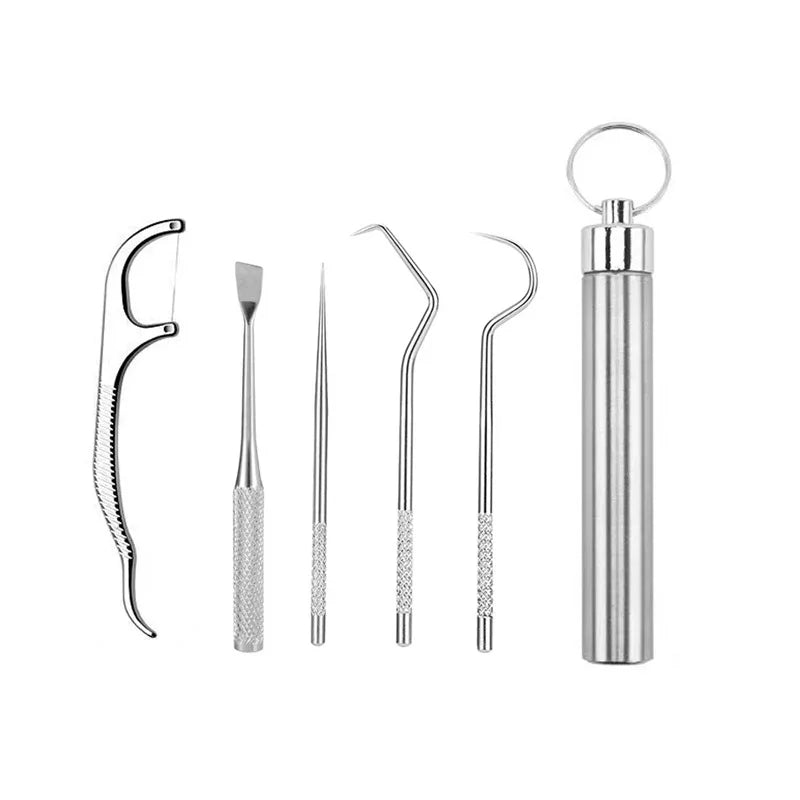 Stainless Steel Toothpick Set Tooth Flossing Reusable Toothpicks Portable Toothpick Floss Teeth Cleaner Oral Cleaning HIP 5pcs
