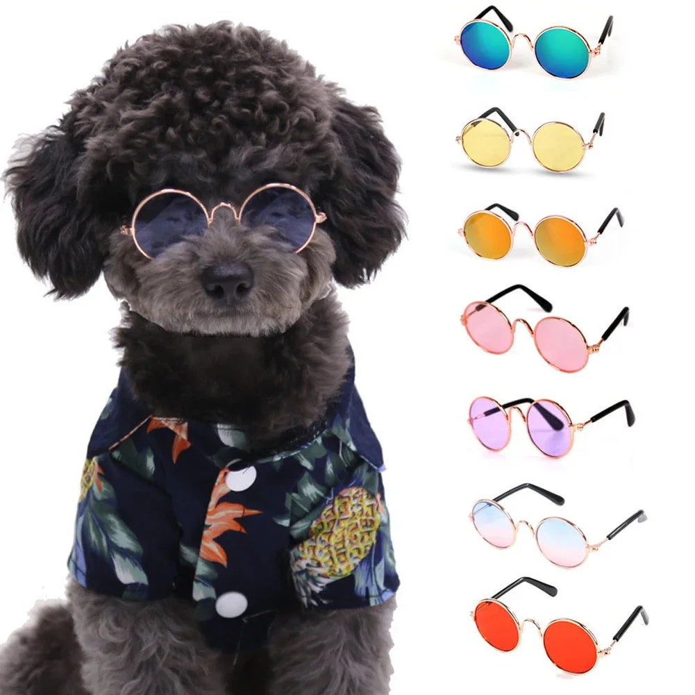 Pet Glasses Small Pet Sunglasses Stylish Pet Sunglasses for Dogs Cats Fashionable Eyewear for Sun Wind Lightweight HIP
