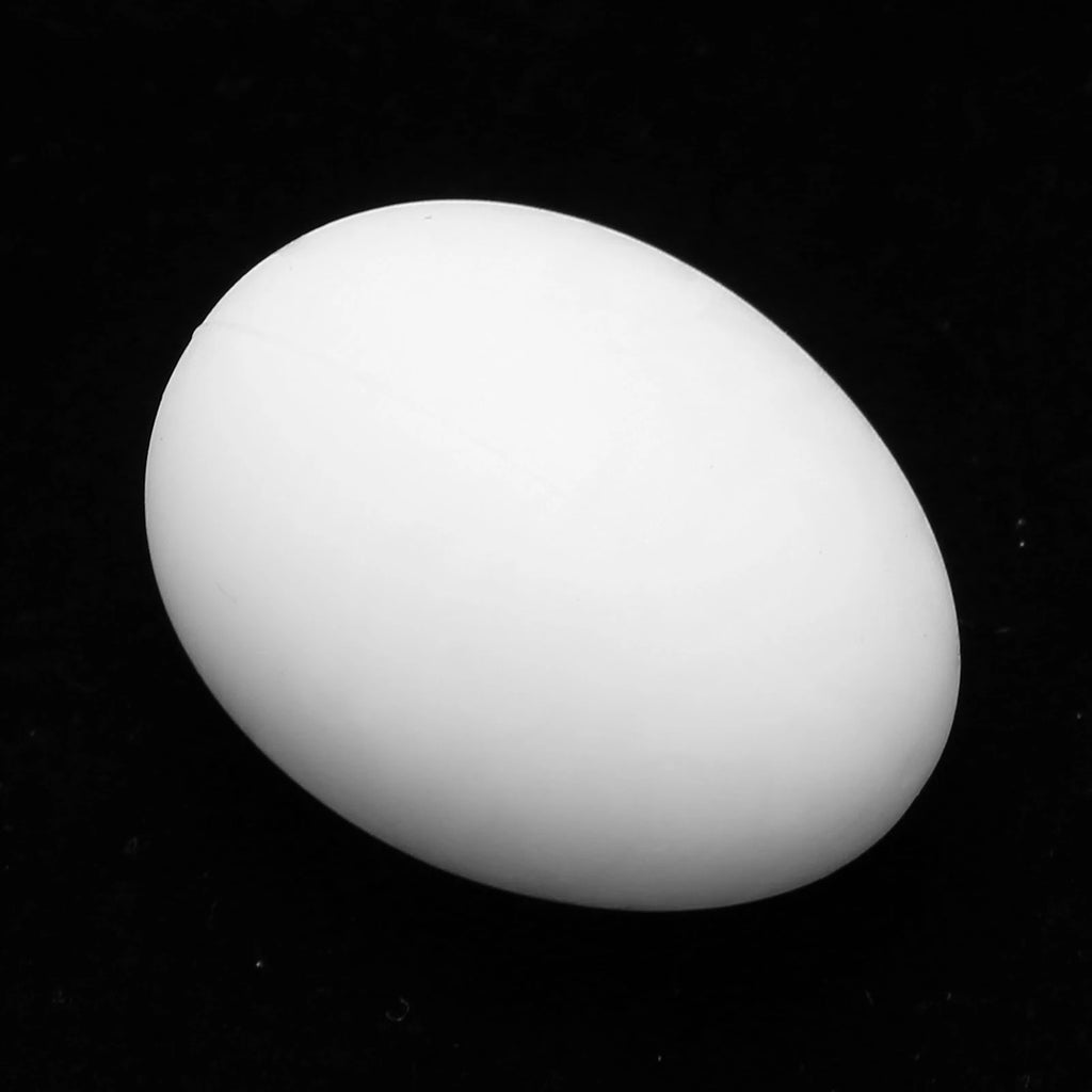 Plastic Fake Pigeon Egg Fake Egg Simulation Hatching Breeding Supplies for Birds Fake Eggs Simulation Pigeon Eggs HIP