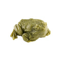 Funny Toad Frog Squishy Ornament Stress Relief Prank For Kids Funny Meme Party Birthday Gift Frog Squeezing Desk Ornament HIP Green