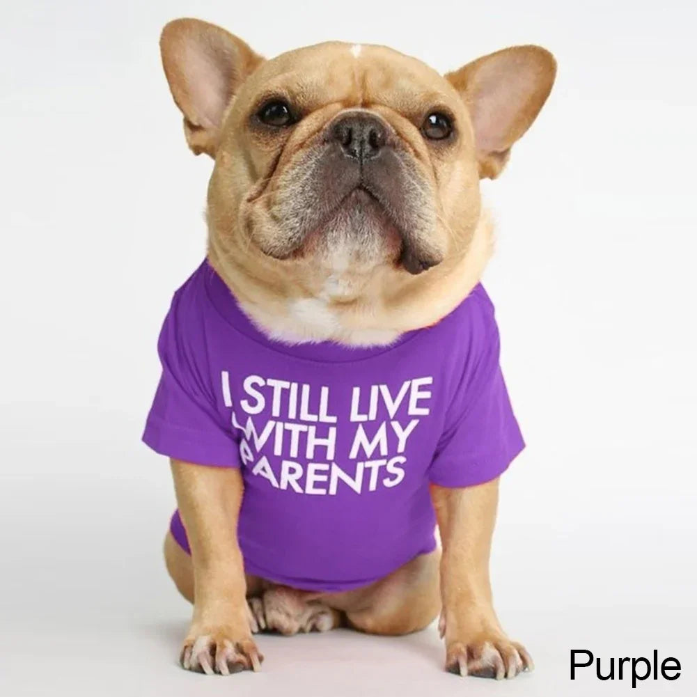 Summer Spring Dog Clothes Quality Breathable Pet Clothing Soft Letters Printed French Bulldog Clothes for Small Dogs T-shirt HIP PURPLE XXL