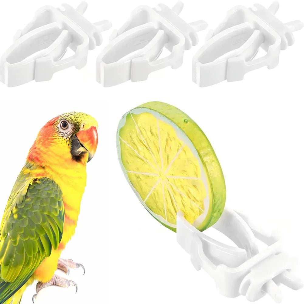 Parrot Cage Accessory Hanging Bird Feeder Foraging Toy Vegetable Clip Fruit Holder For Parakeet Budgie Cockatiel Clean Cage HIP