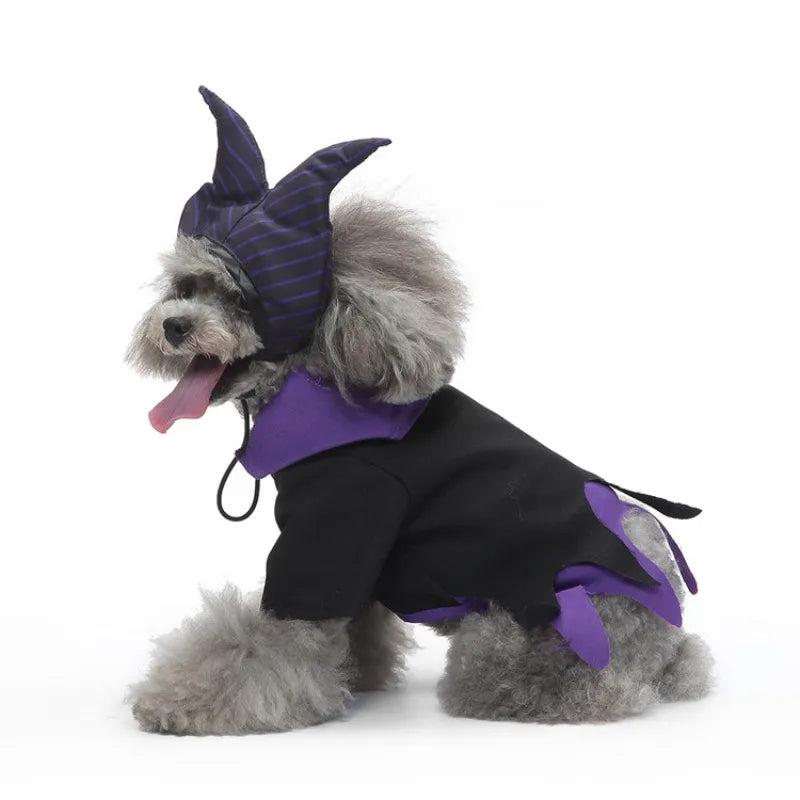 Halloween & Christmas Dog Costume – Clown & Wizard | HIP Pet Costume HIP