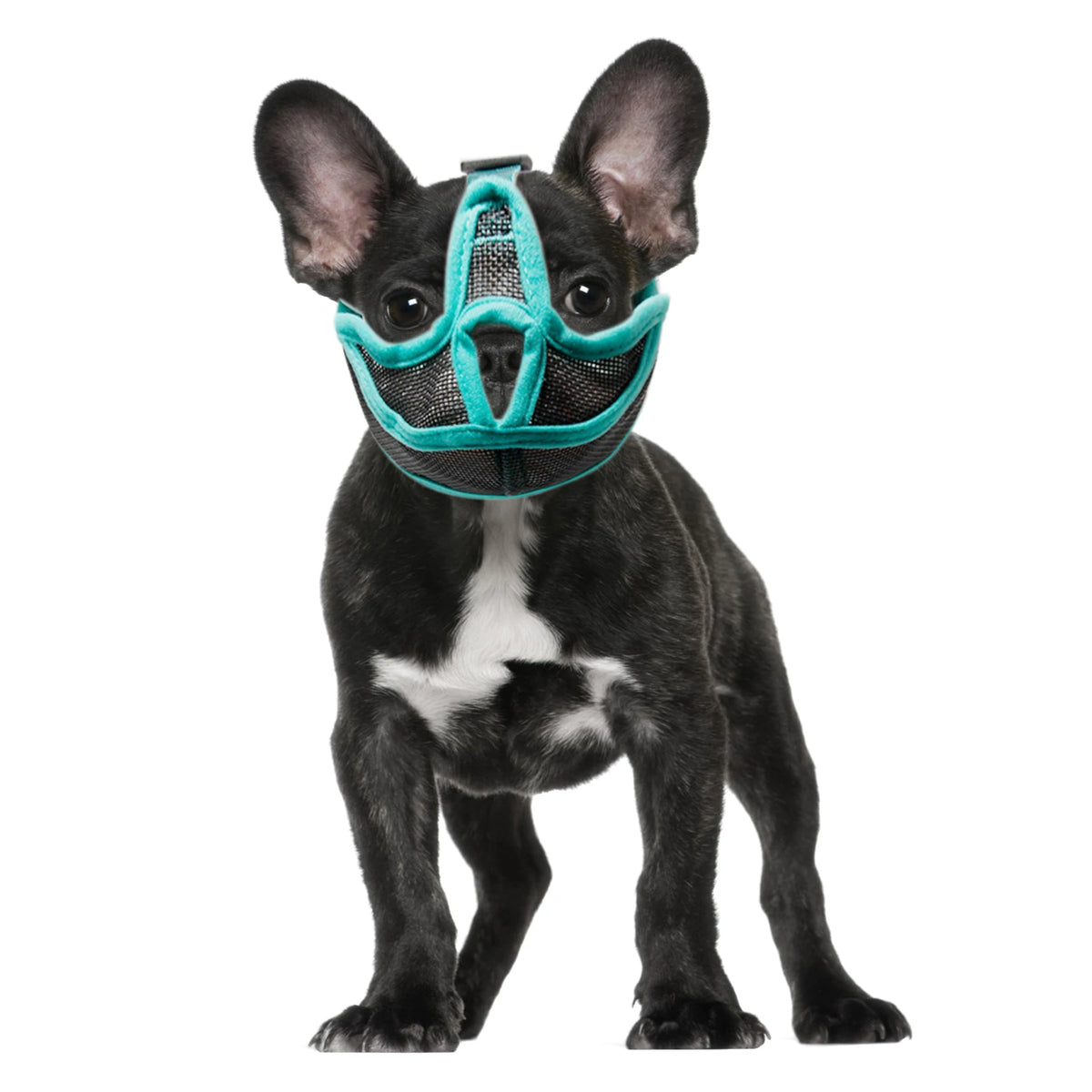 Short Snout Dog Muzzle Mesh Adjustable Breathable Anti Biting Bulldog Short Snout Muzzle for Dogs Short Snout Bulldog Muzzle HIP
