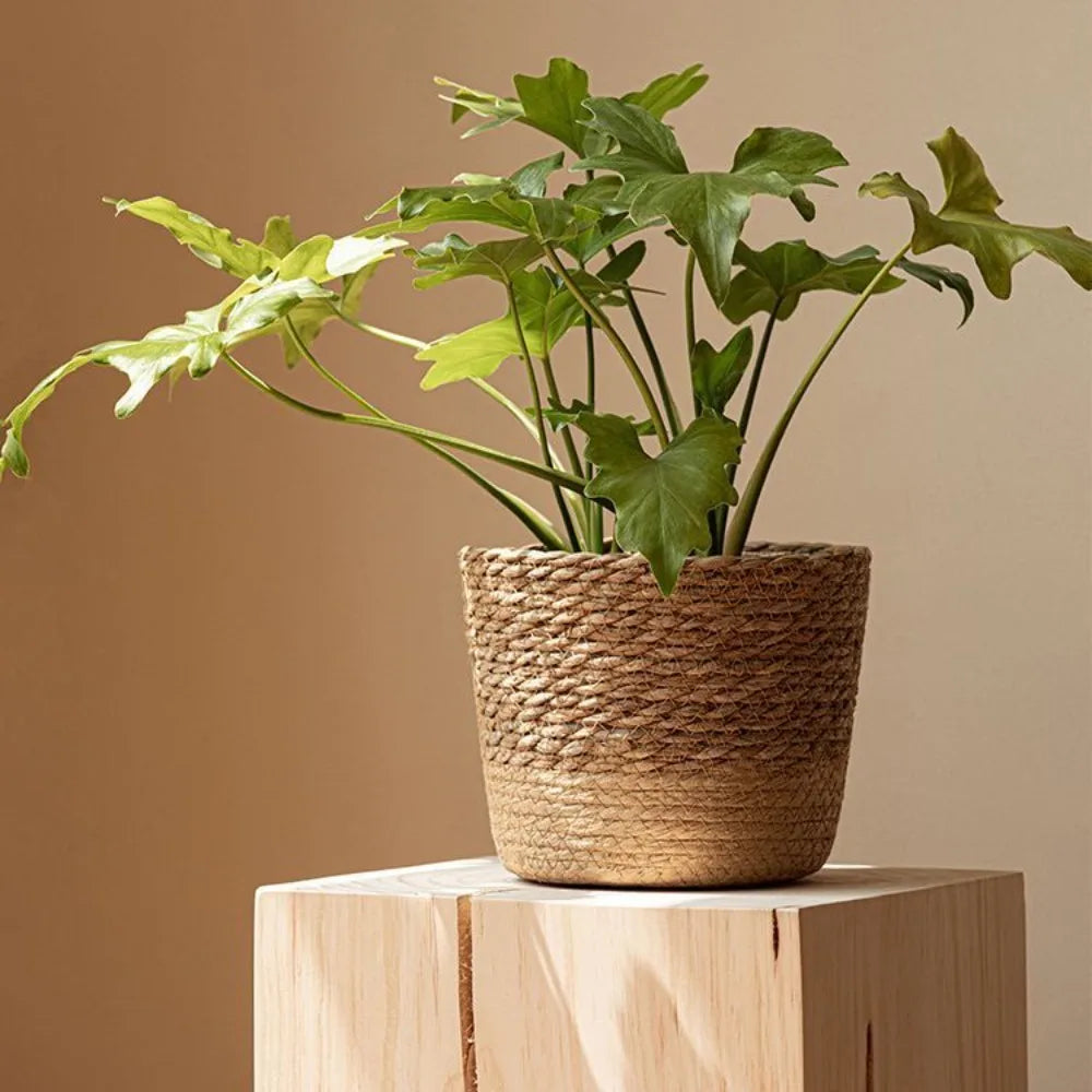 Handmade Woven Seagrass Planter Basket – 3 Sizes Woven Planter Basket HIP